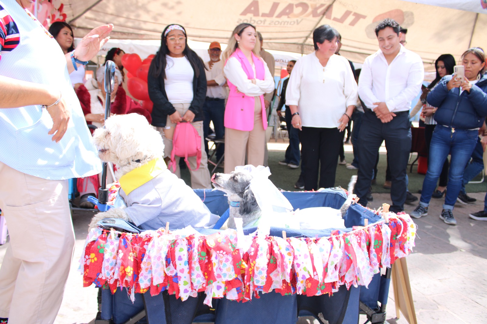 Realizan el festival 'Haz Match en Tlaxcala Capital'